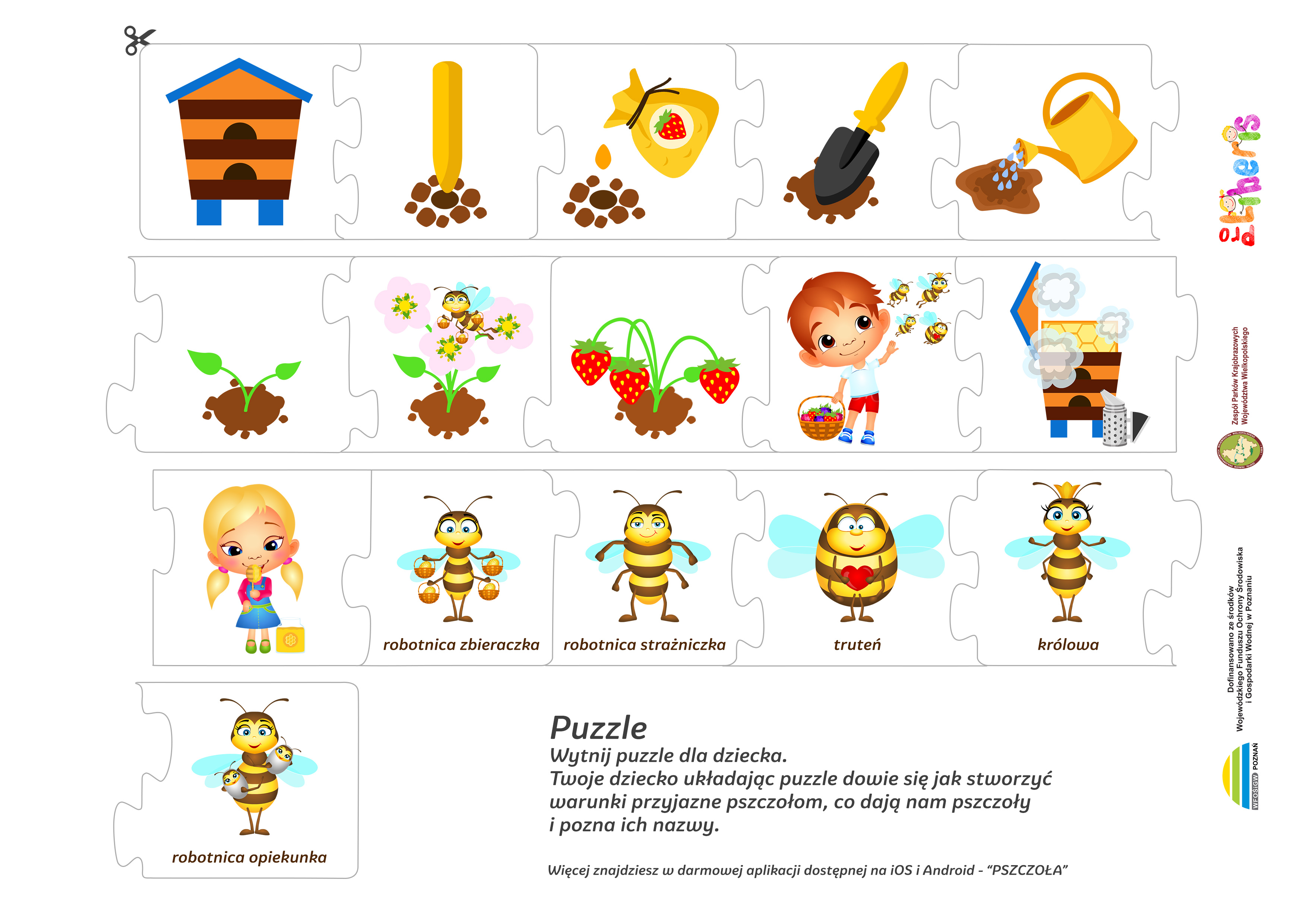 Puzzle - Pszczoły i dzikie zapylacze