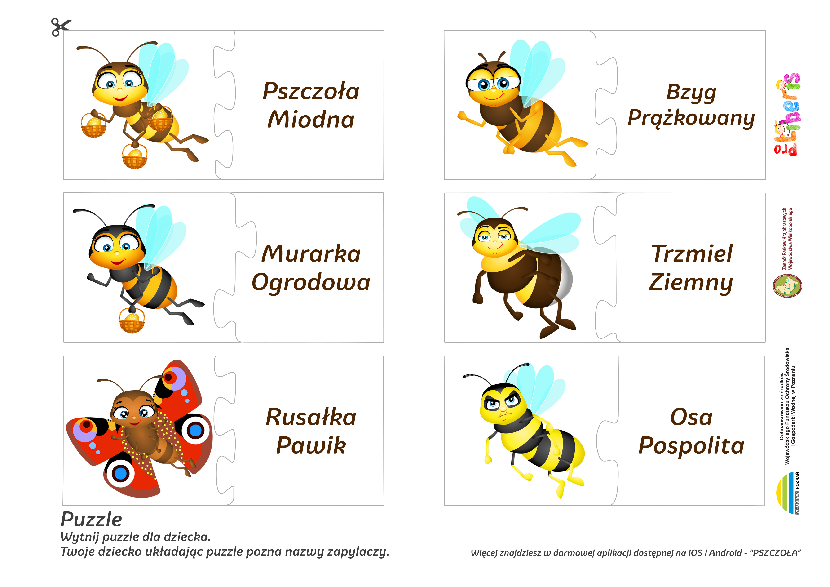 Puzzle - Pszczoły i dzikie zapylacze