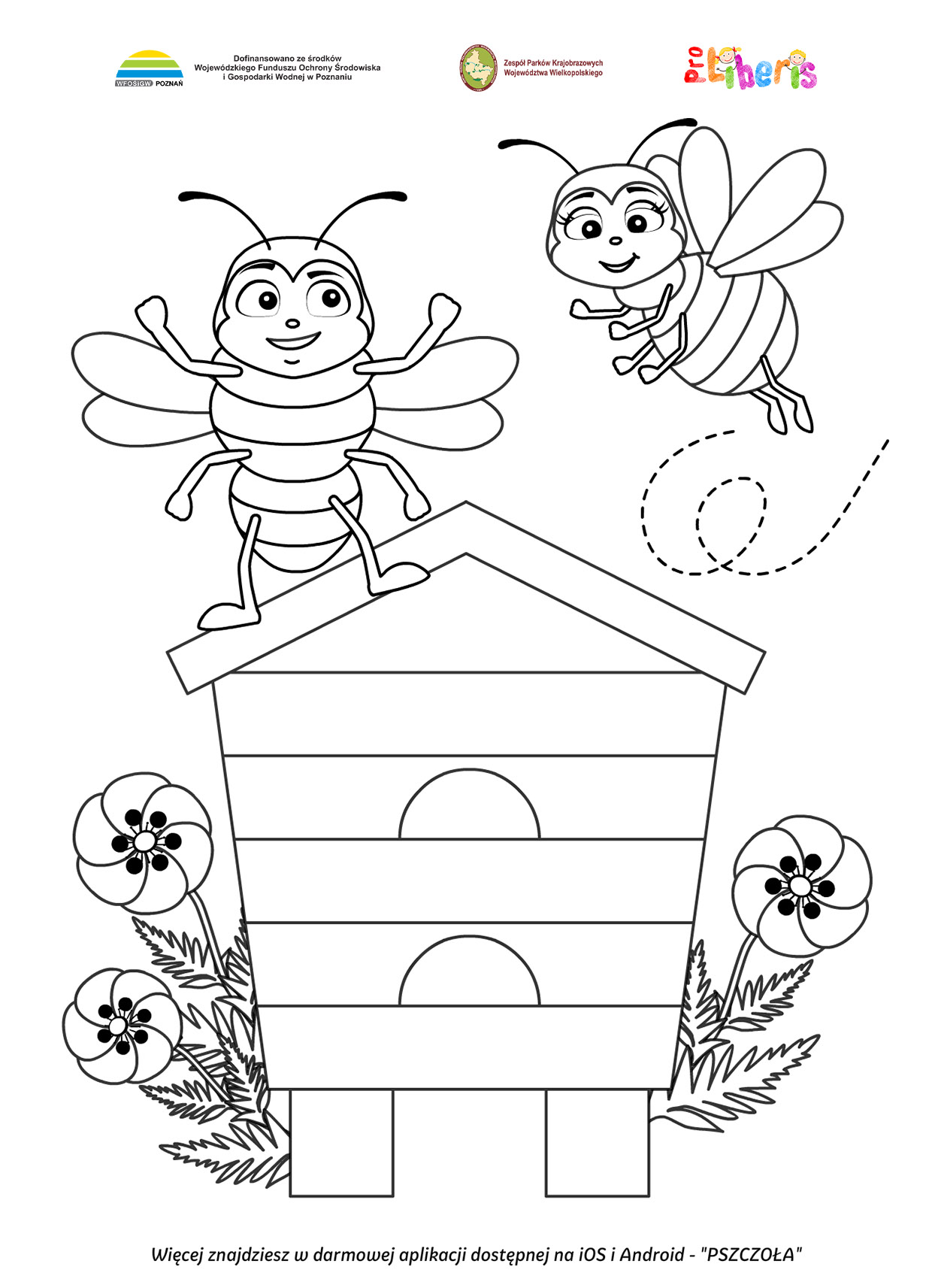 Kolorowanki - pszczoły i dzikie zapylacze