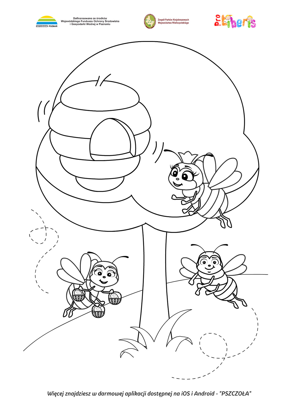 Kolorowanki - pszczoły i dzikie zapylacze